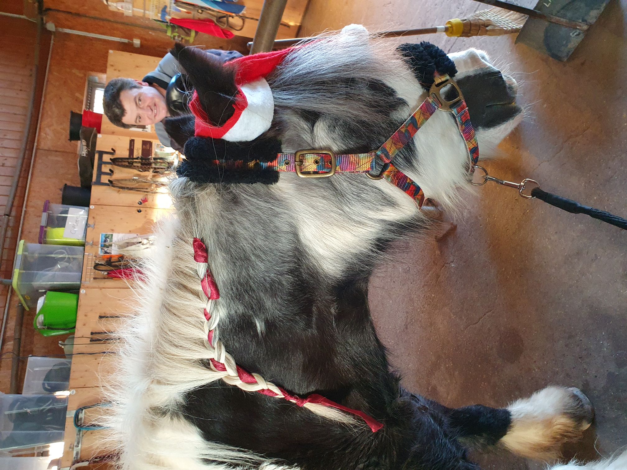 2023 12 Dezember 649